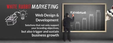 Business 24 image WHITE RABBIT MARKETING Web Design & Development in Fort Lauderdale FL