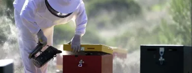 Business 4 image YOUR SAN DIEGO BEEKEEPER Pest Control Service in San Diego CA