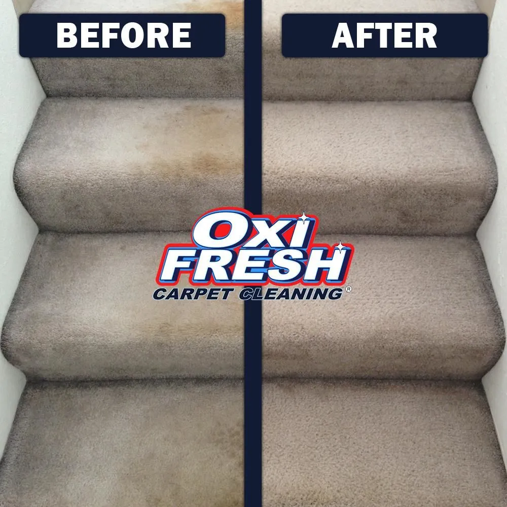 Business 1 image OXI FRESH CARPET CLEANING
