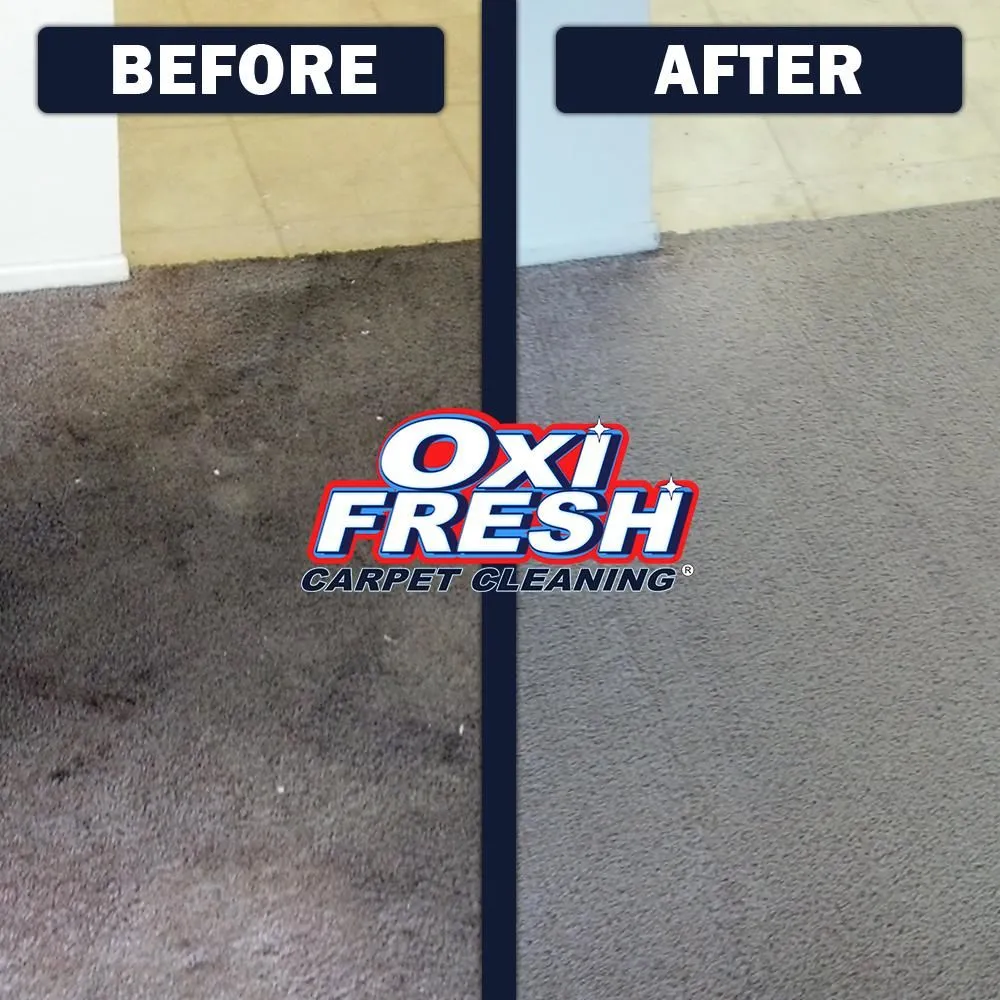 Business 3 image OXI FRESH CARPET CLEANING