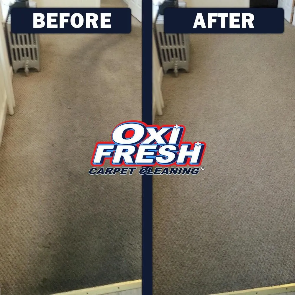 Business 7 image OXI FRESH CARPET CLEANING