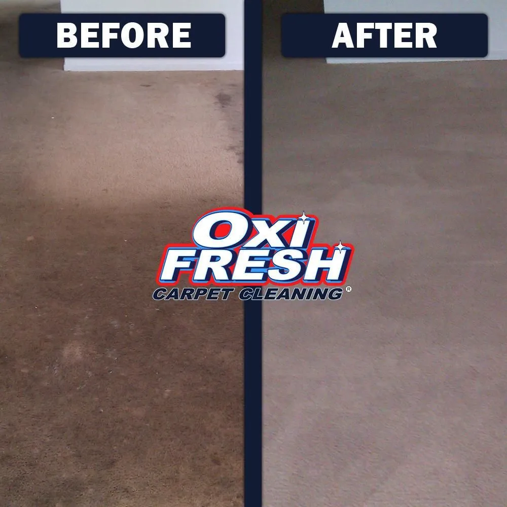 Business 8 image OXI FRESH CARPET CLEANING