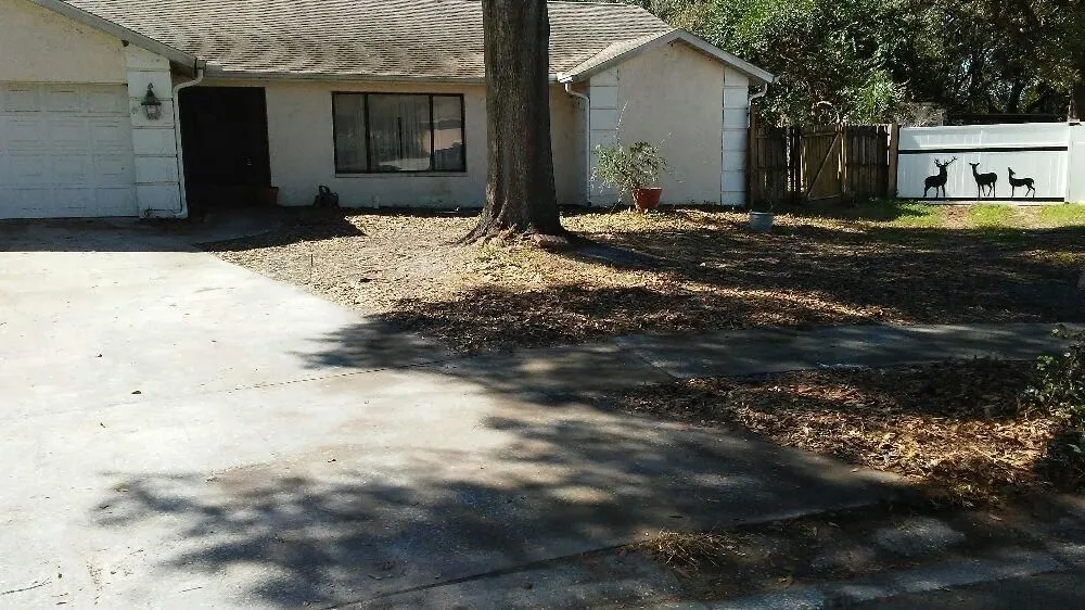 Business 6 image HAVE JUNK??