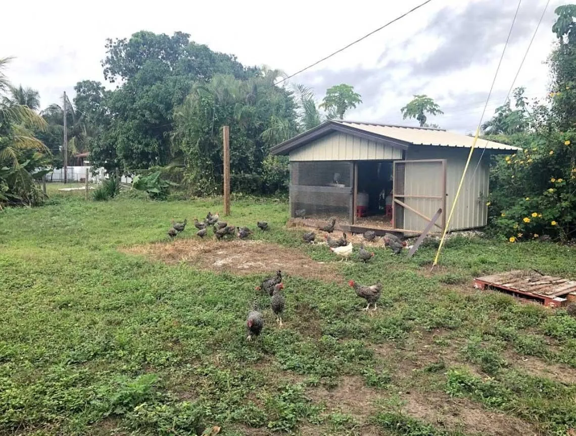 Business 5 image POLE BARNS USA