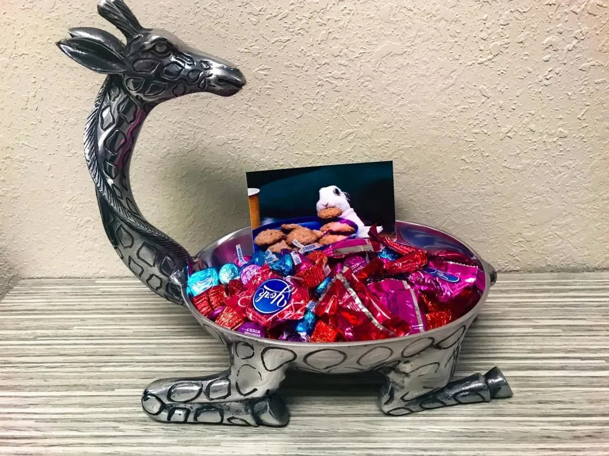 Business 24 image HILL VALLEY SUITES