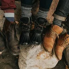 Business 10 image WINTERBORN ALPACA USA