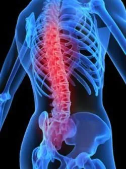 Business 2 image USA HEALTH & PHYSICAL THERAPY