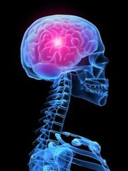 Business 4 image USA HEALTH & PHYSICAL THERAPY
