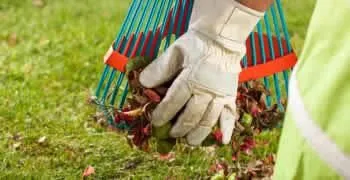 Business 3 image COLLINS LAWN CARE