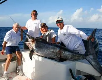 Business 2 image DOUBLE D CHARTERS