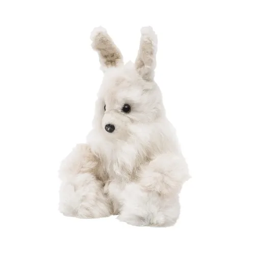 Business 3 image WINTERBORN ALPACA USA