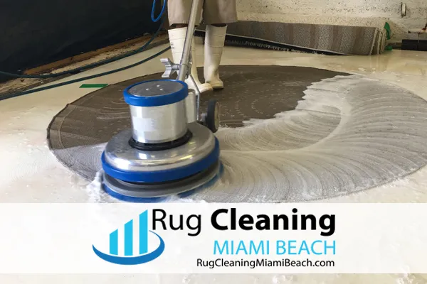 Business 5 image RUG CLEANING MIAMI BEACH PROS