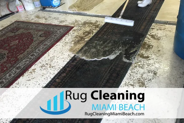 Business 6 image RUG CLEANING MIAMI BEACH PROS