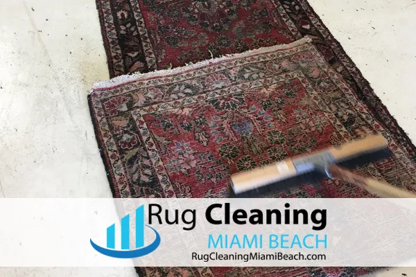 Business 1 image RUG CLEANING MIAMI BEACH PROS