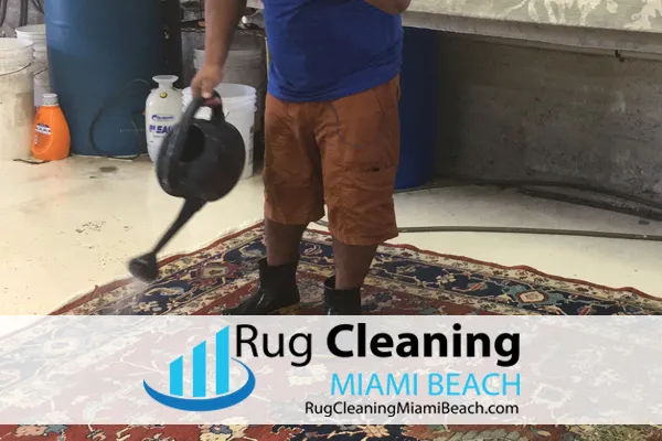 Business 3 image RUG CLEANING MIAMI BEACH PROS