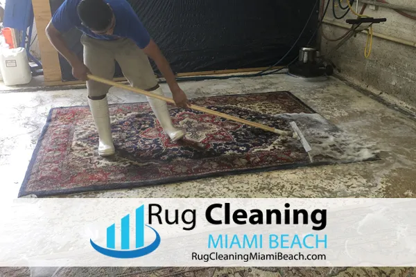Business 4 image RUG CLEANING MIAMI BEACH PROS