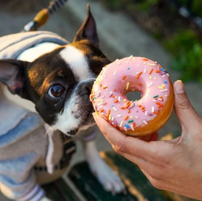 Business 16 image DUNKIN'