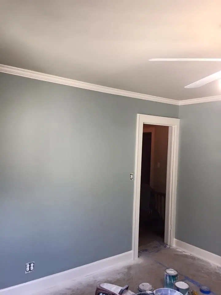 Business 4 image COLOR SOLUTIONS PAINTING