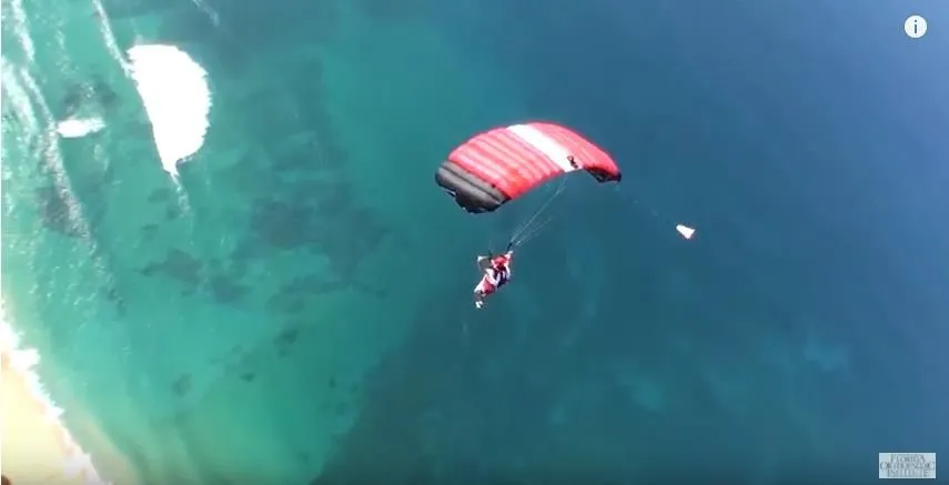 Business 20 image FLORIDA ORTHOPAEDIC INSTITUTE & SURGERY CENTER