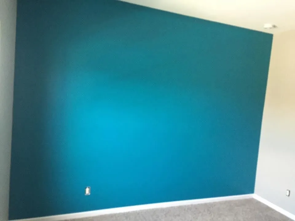 Business 12 image COLOR SOLUTIONS PAINTING