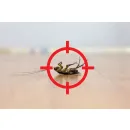 MILE HIGH TERMITE REMOVAL EXPERTS Pest Control Services in Englewood CO