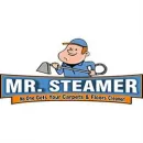 MR. STEAMER CARPET & FLOOR CLEANER Floor Cleaning in Tampa FL