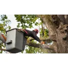 WILLS HILL TREE REMOVAL SOLUTIONS