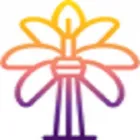 TORONTO MIAMI GROUP LLC