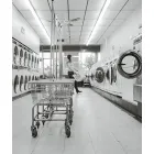 DAVIE LAUNDRY