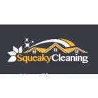 SQUEAKY CLEANING
